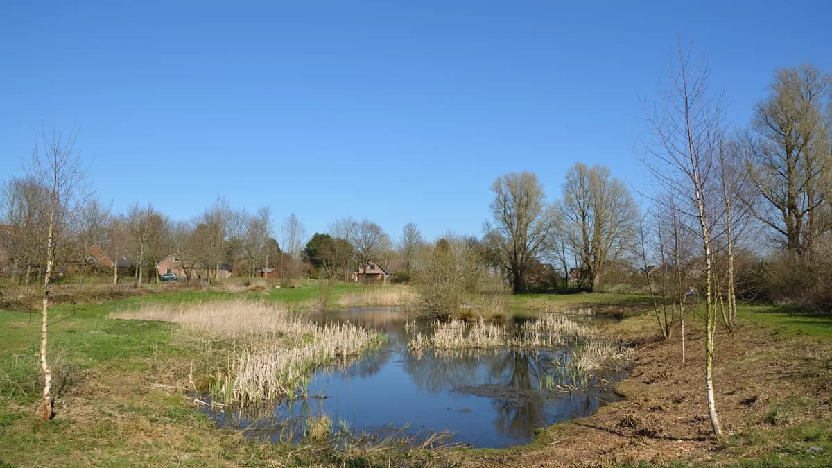 Ortsansicht von Rantrum